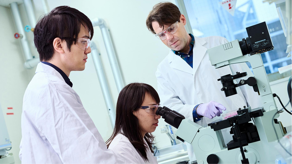 Diseases and Conditions