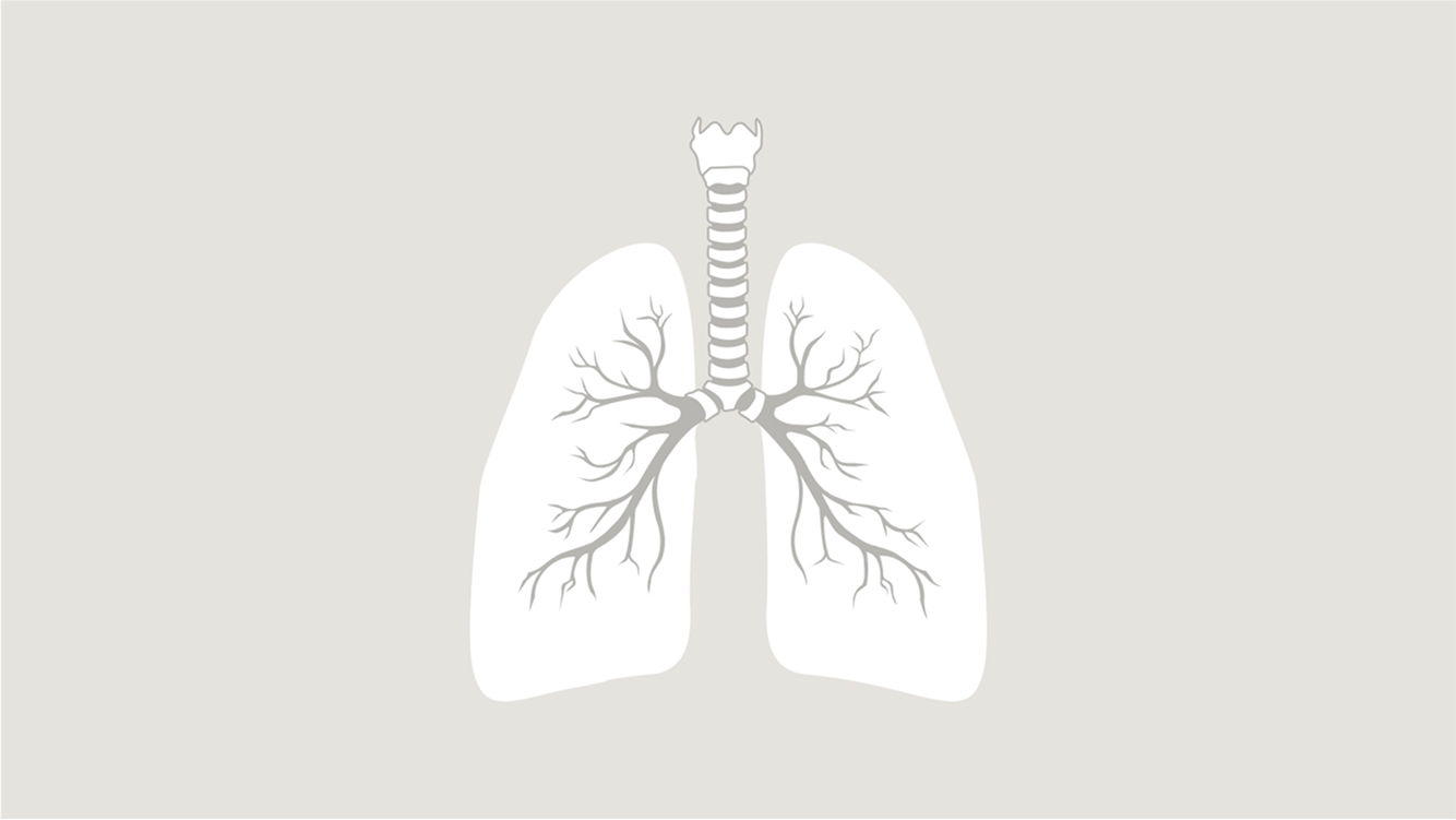 lung icon
