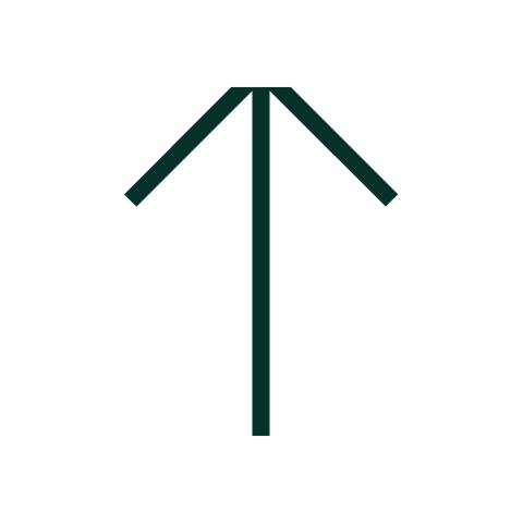 Arrow up