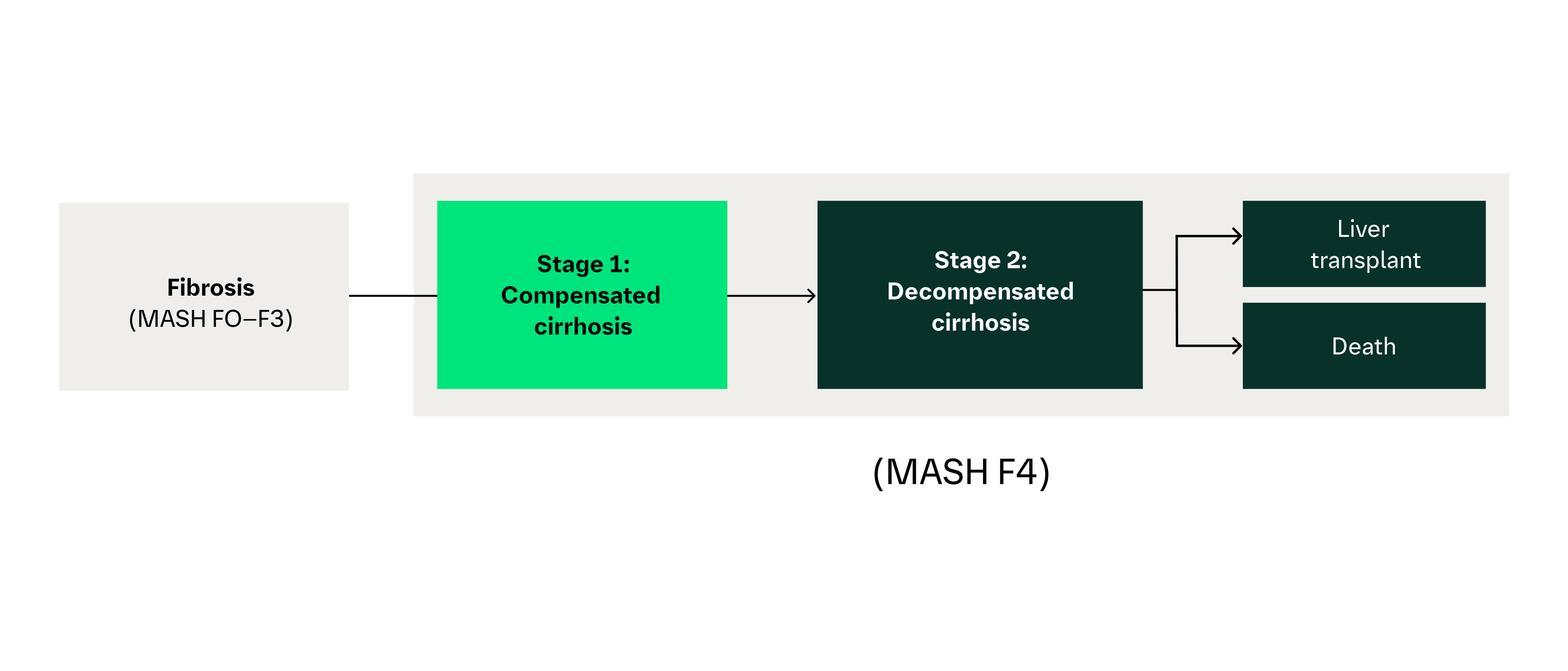 Cirrhosis development