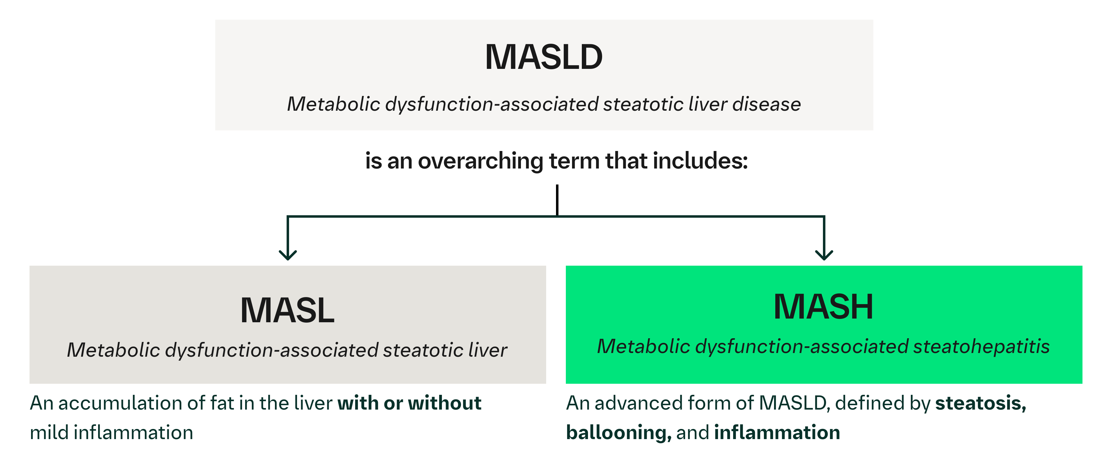 MASLD categorisation