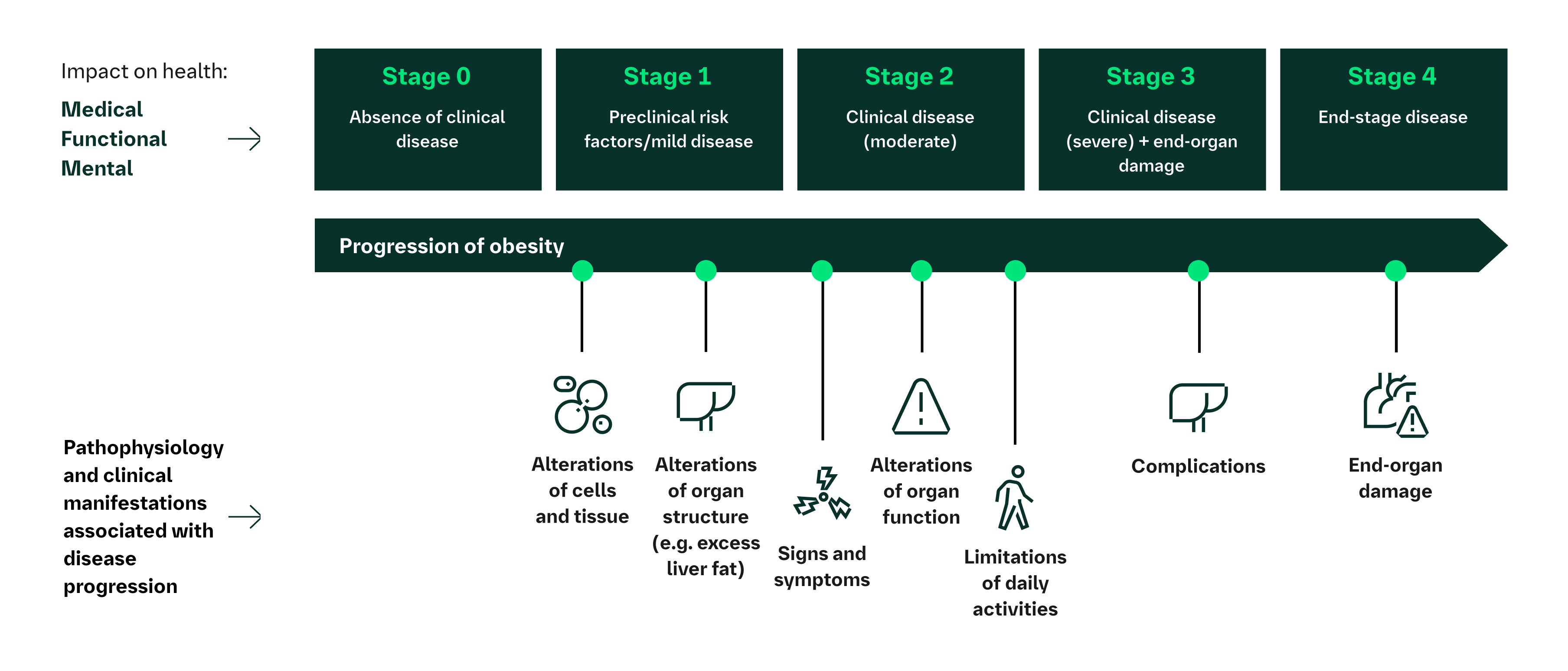 The Edmonton Obesity Staging System