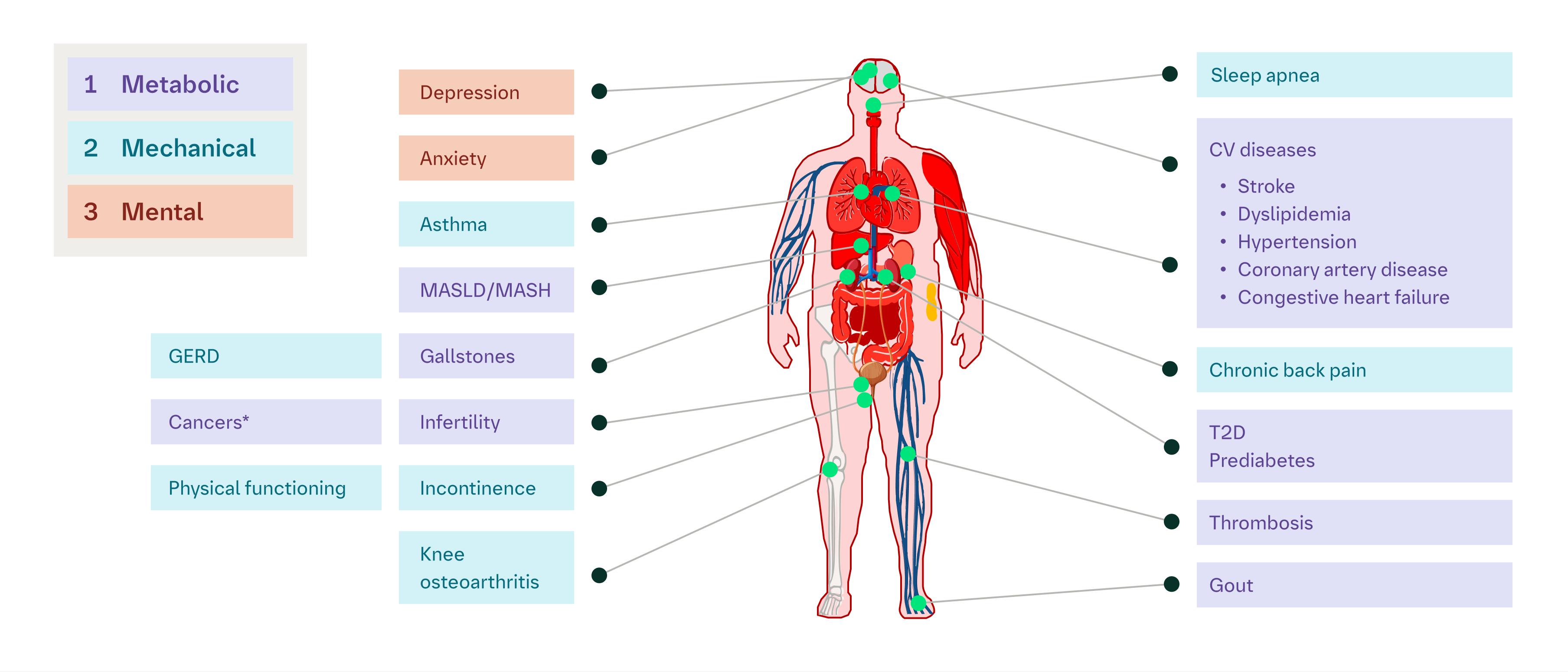 Obesity-associated comorbidities